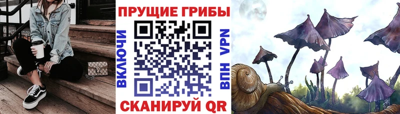 Купить  Ахтубинск  Галлюциногенные грибы Magic Shrooms 